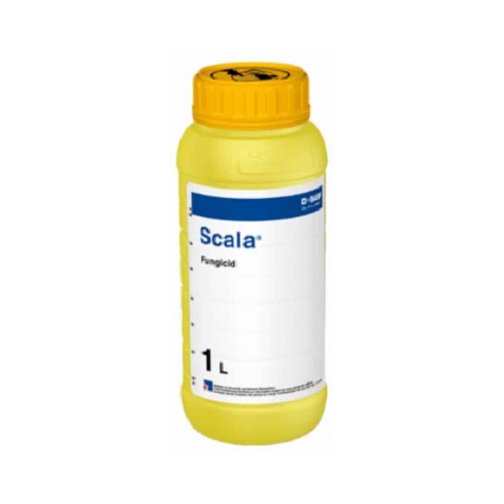 SCALA, 1L