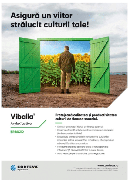 VIBALLA,1L