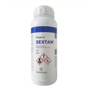 SEXTAN, 1L